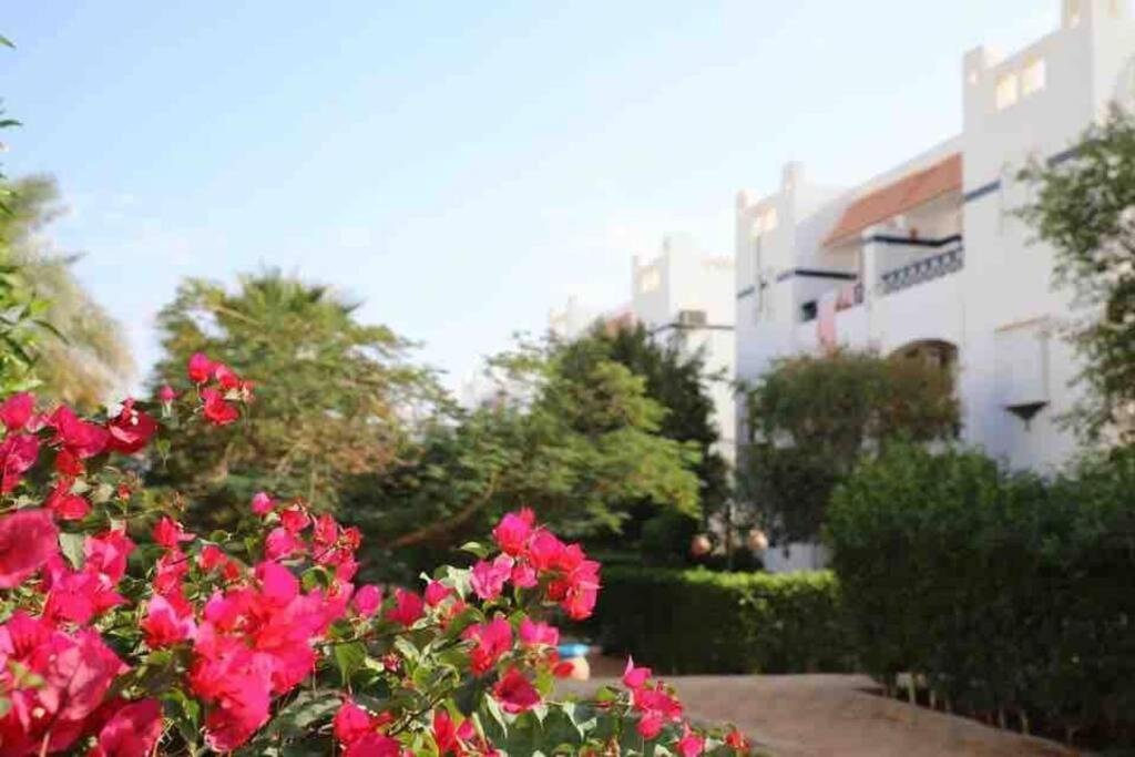 Riviera Resort Apartment - Pool View & Wifi Sharm el-Sheikh Luaran gambar