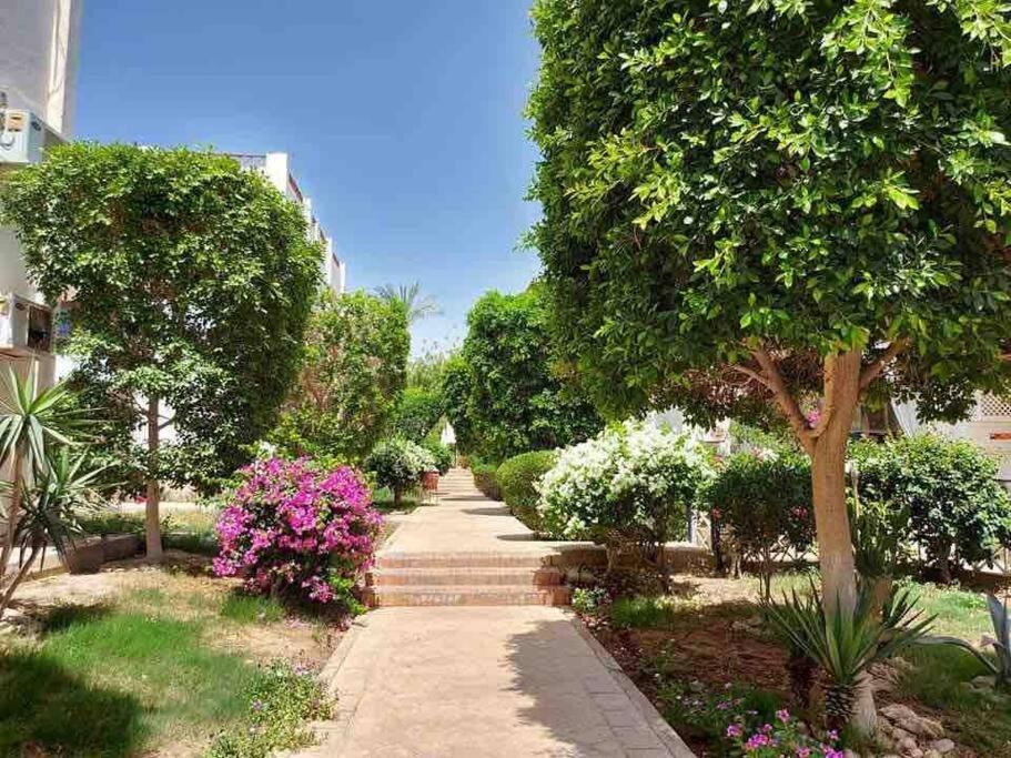 Riviera Resort Apartment - Pool View & Wifi Sharm el-Sheikh Luaran gambar
